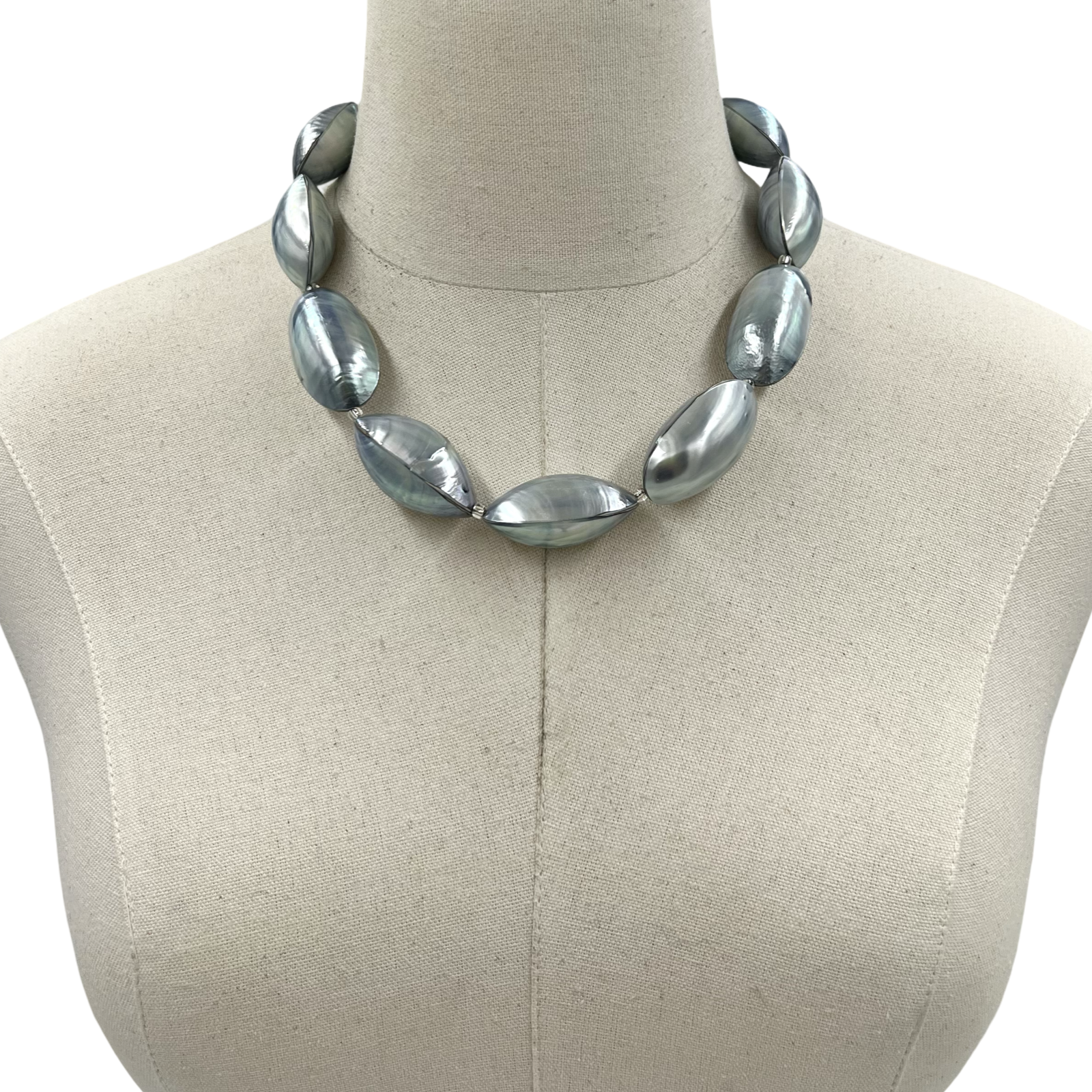 Shell Silver Steel Necklace