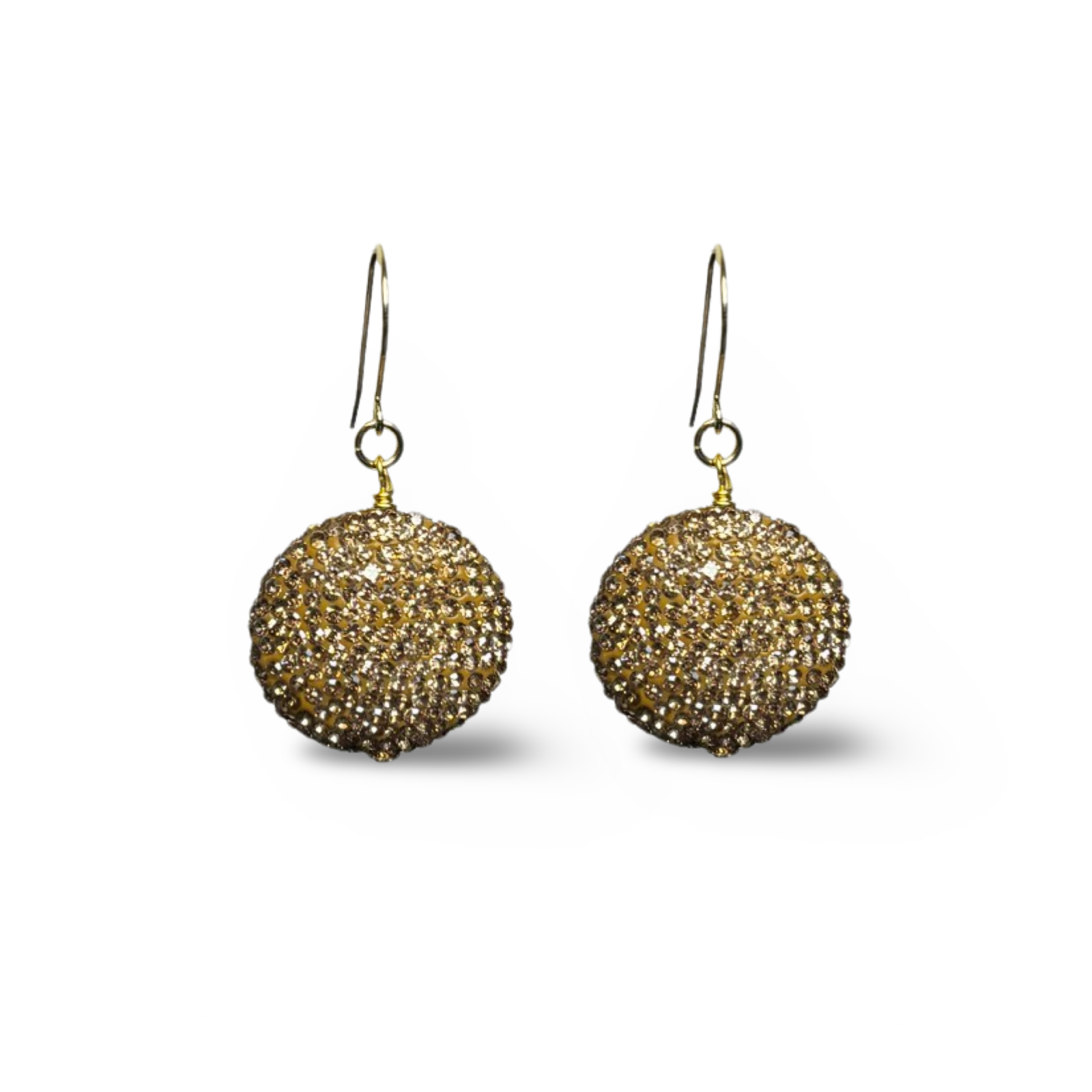 Coin Collective Earring